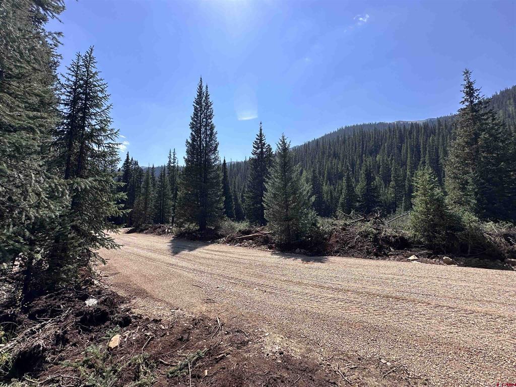 Lot 8 Overland Estates, Cr 110 Silverton CO 81433