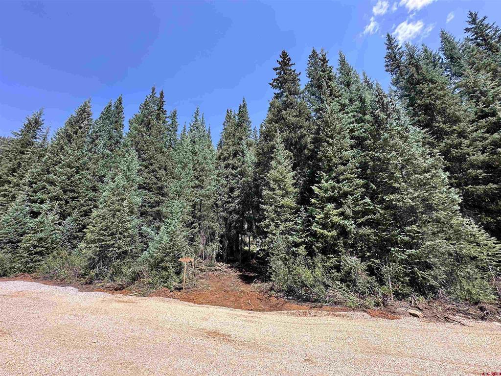 Lot 8 Overland Estates, Cr 110 Silverton CO 81433