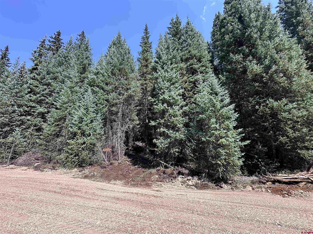Lot 8 Overland Estates, Cr 110 Silverton CO 81433