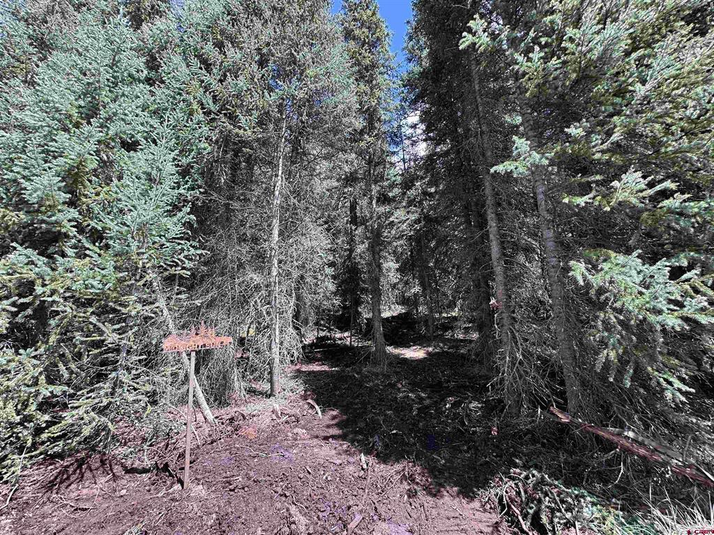 Lot 8 Overland Estates, Cr 110 Silverton CO 81433