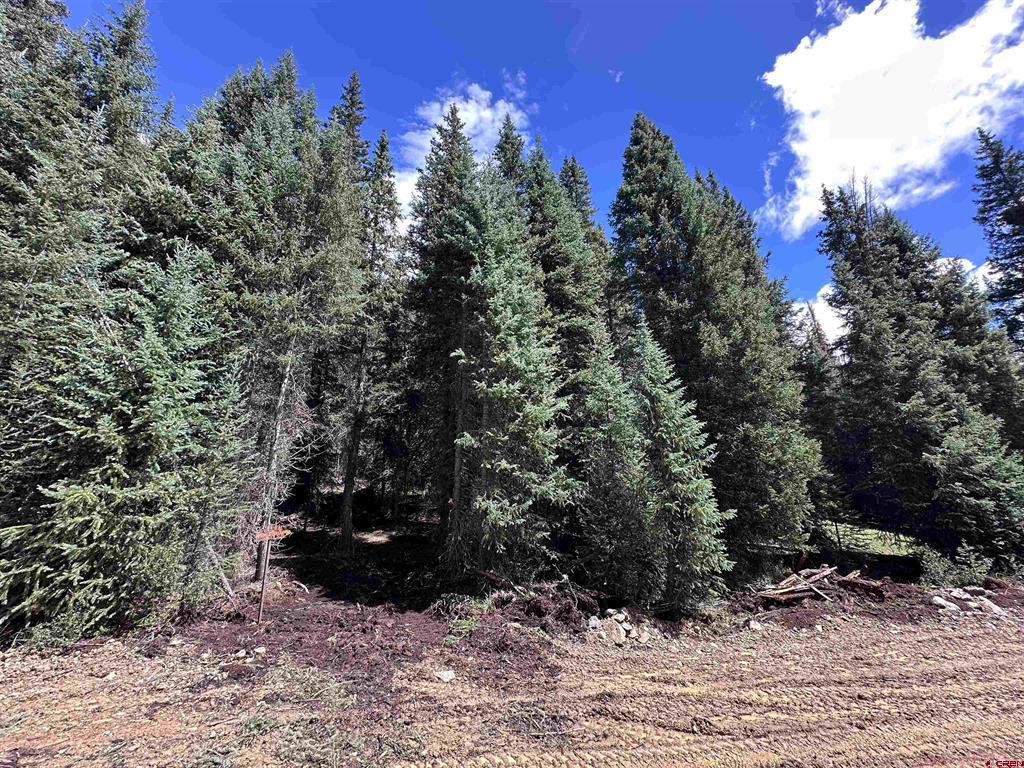 Lot 8 Overland Estates, Cr 110 Silverton CO 81433