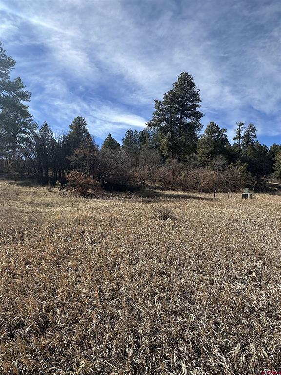 90 Chase Court Pagosa Springs CO 81147