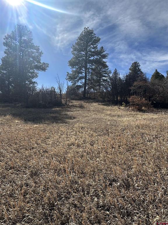 90 Chase Court Pagosa Springs CO 81147