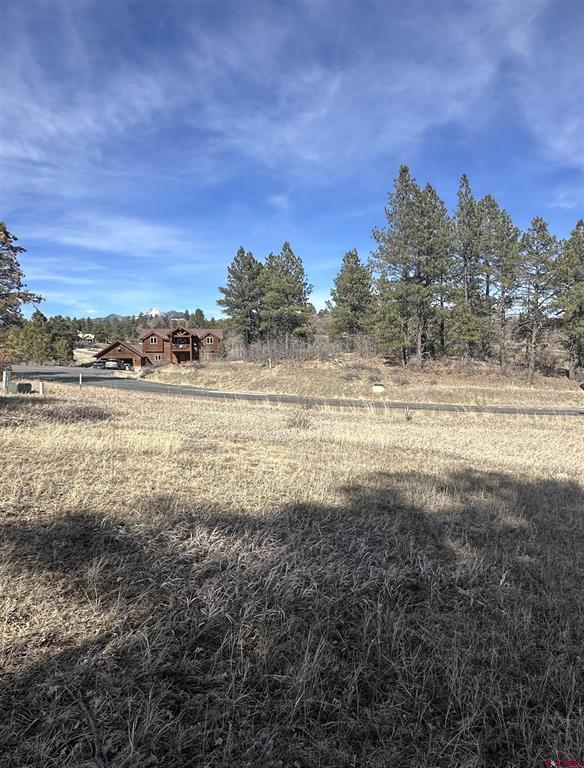 90 Chase Court Pagosa Springs CO 81147
