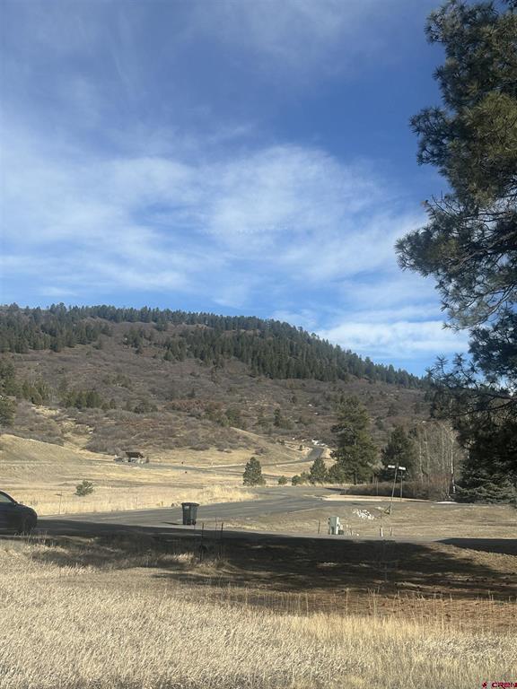 90 Chase Court Pagosa Springs CO 81147