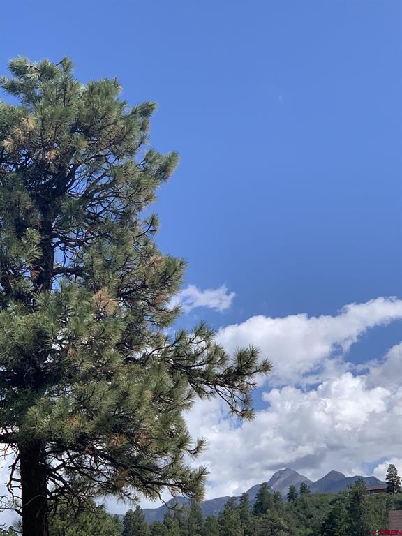 90 Chase Court Pagosa Springs CO 81147