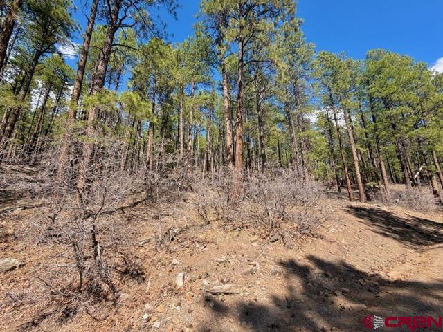 249 Timber Drive Bayfield CO 81122