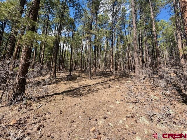 249 Timber Drive Bayfield CO 81122