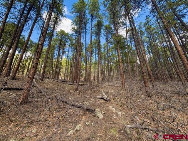 249 Timber Drive Bayfield CO 81122