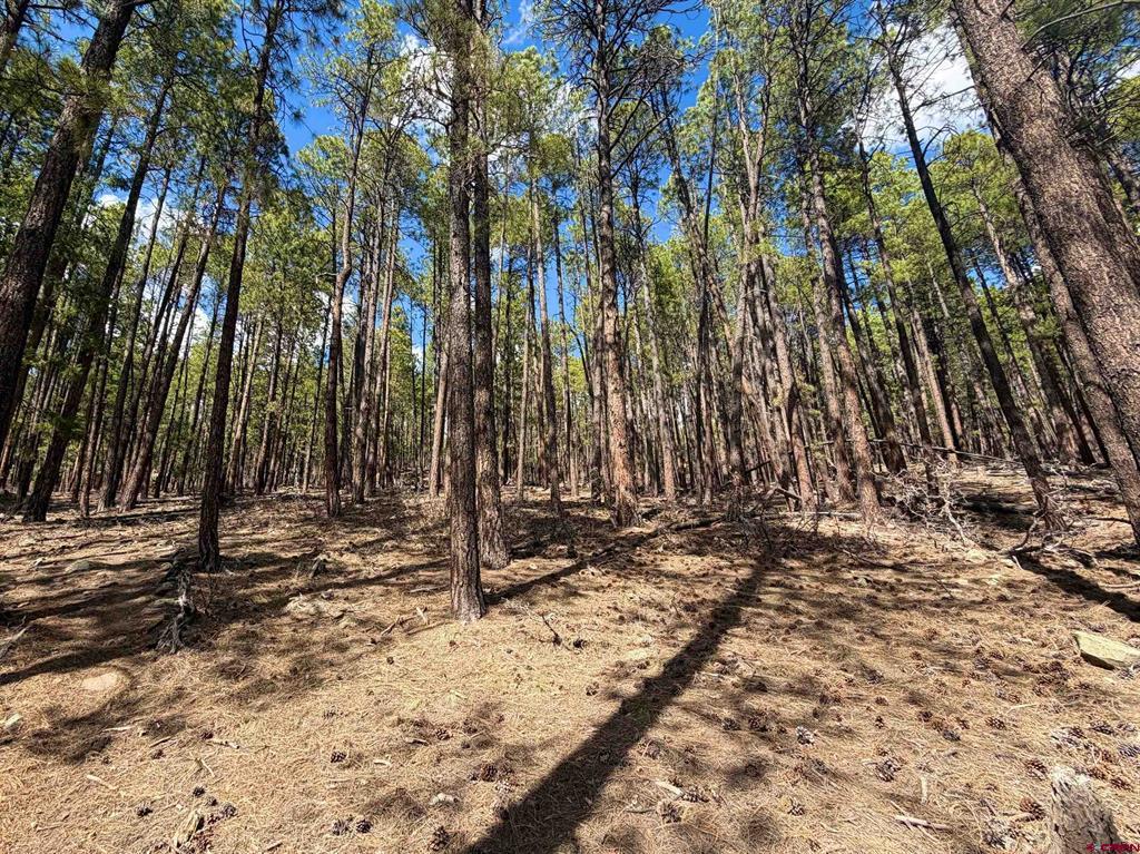 249 Timber Drive Bayfield CO 81122