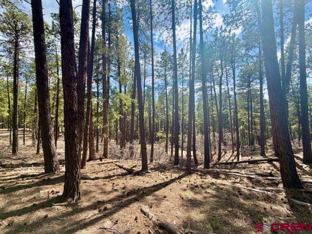 249 Timber Drive Bayfield CO 81122