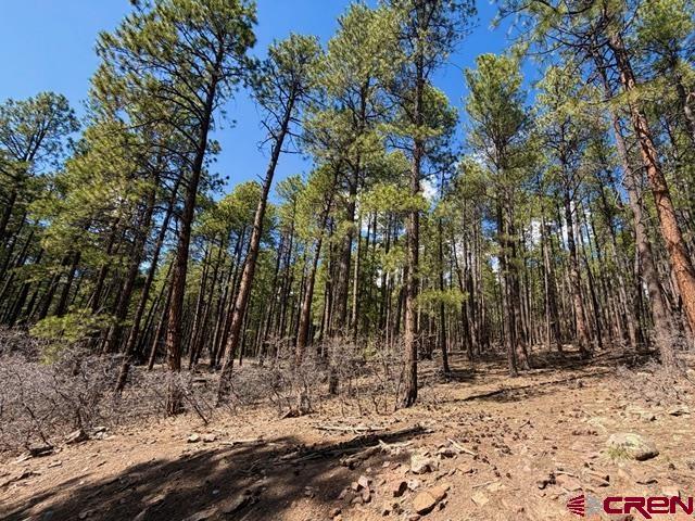 249 Timber Drive Bayfield CO 81122