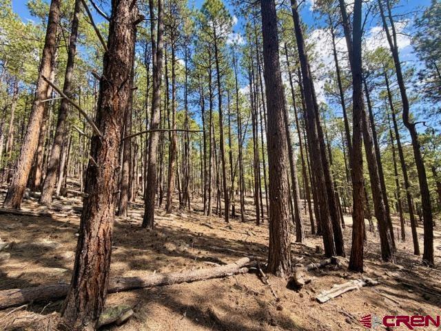 249 Timber Drive Bayfield CO 81122