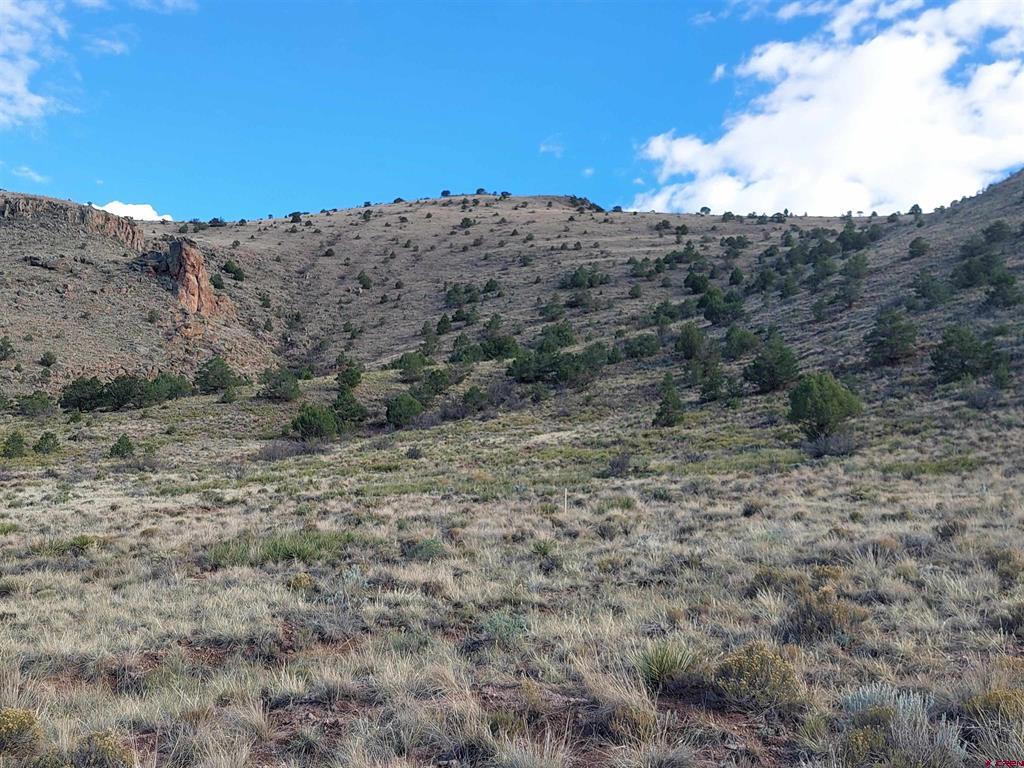 568 Pronghorn Trail Del Norte CO 81132