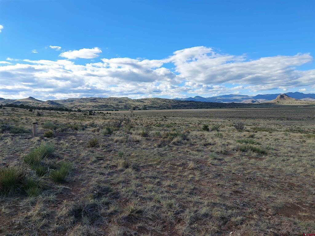 568 Pronghorn Trail Del Norte CO 81132