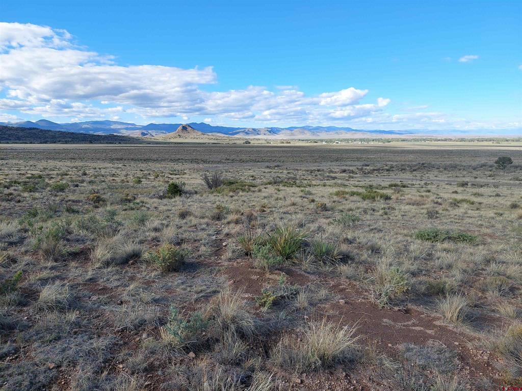 568 Pronghorn Trail Del Norte CO 81132