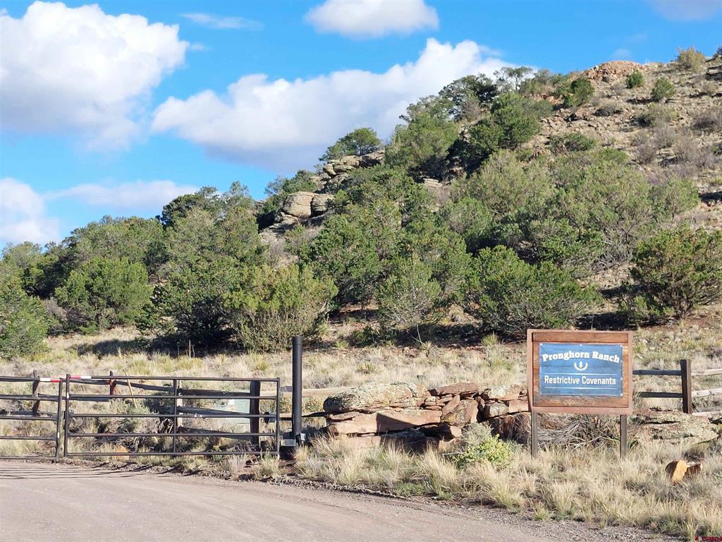 568 Pronghorn Trail Del Norte CO 81132