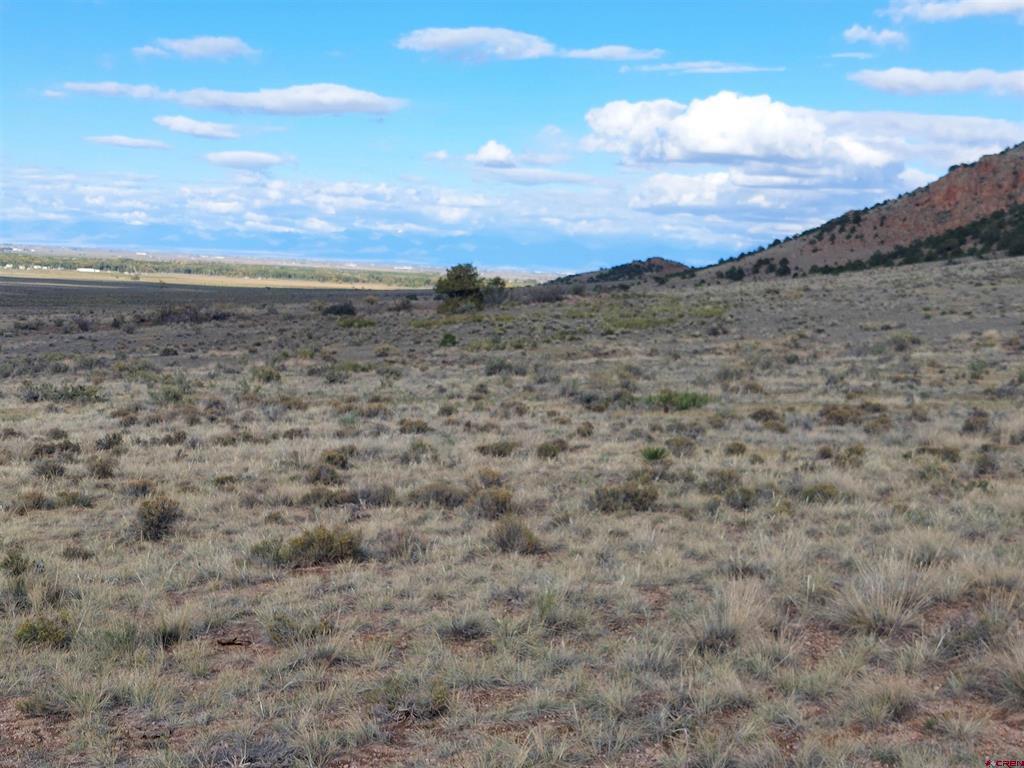 568 Pronghorn Trail Del Norte CO 81132