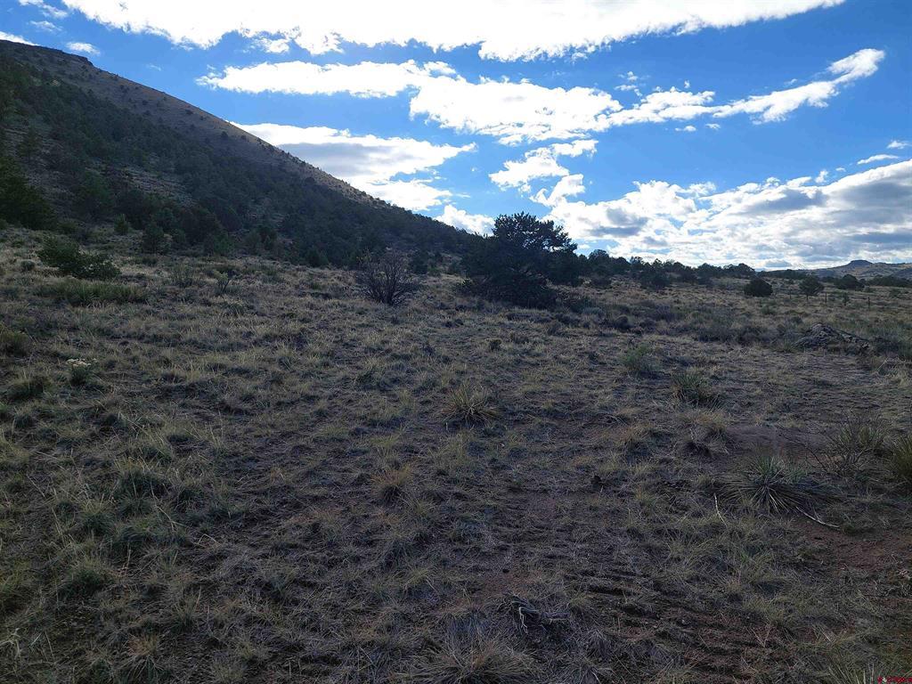 568 Pronghorn Trail Del Norte CO 81132