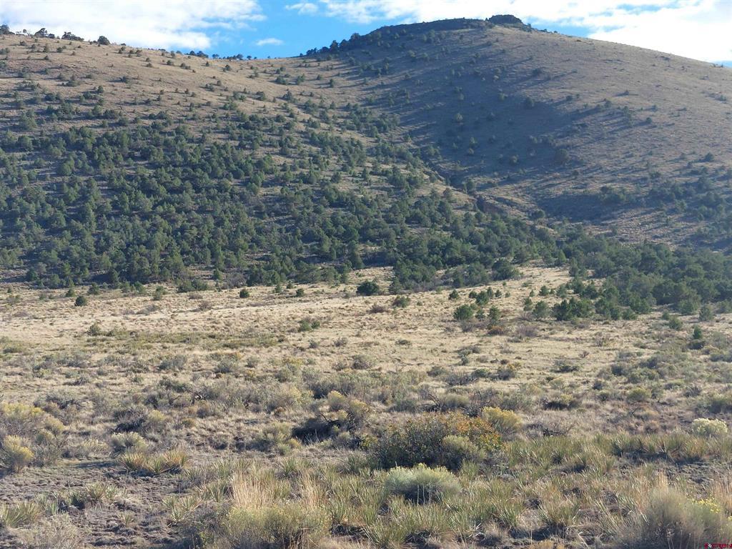 568 Pronghorn Trail Del Norte CO 81132