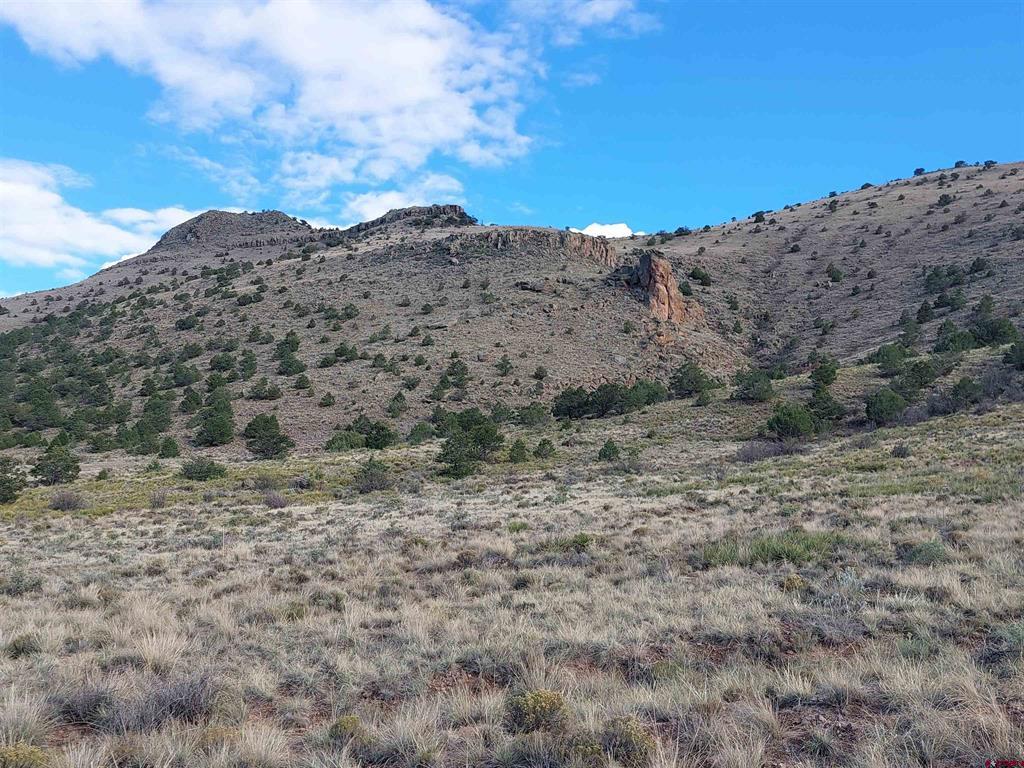 568 Pronghorn Trail Del Norte CO 81132