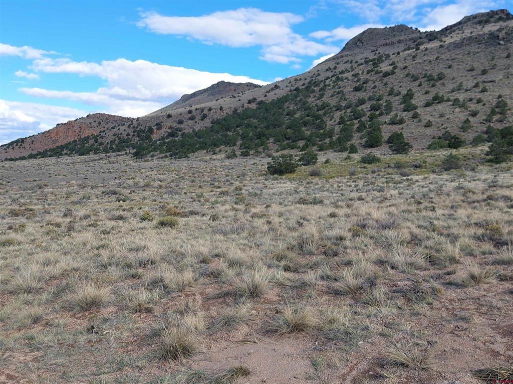 568 Pronghorn Trail Del Norte CO 81132