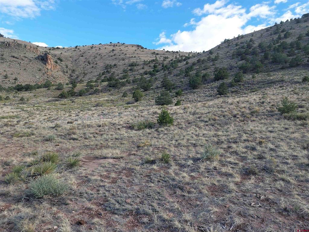 568 Pronghorn Trail Del Norte CO 81132