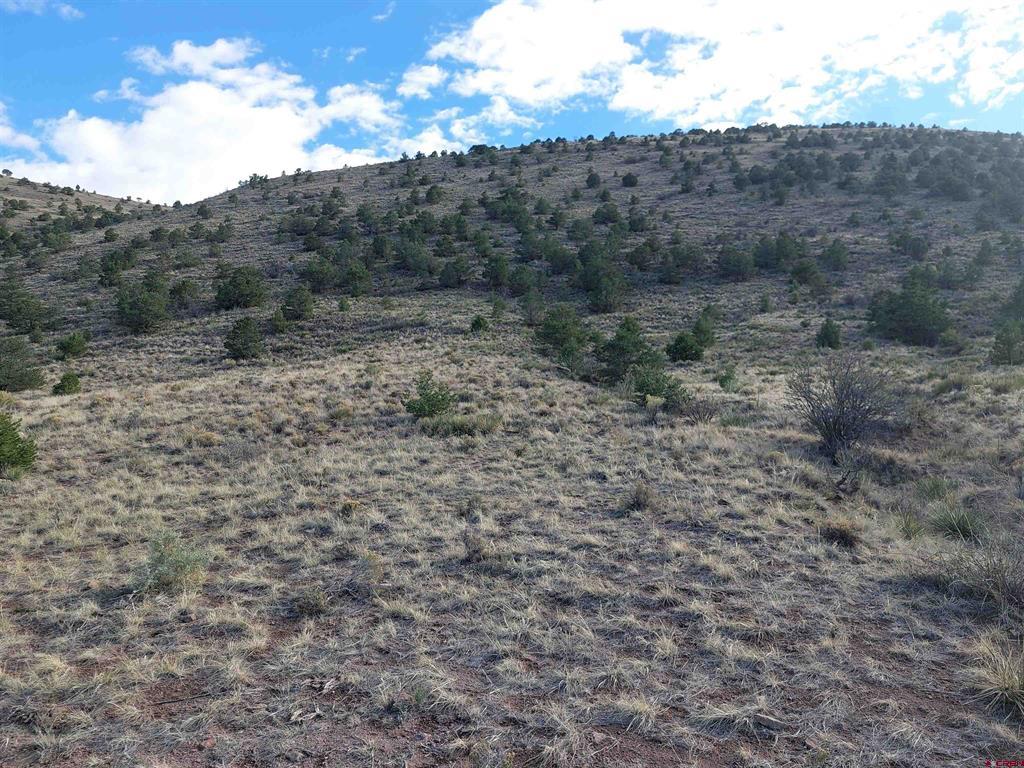 568 Pronghorn Trail Del Norte CO 81132