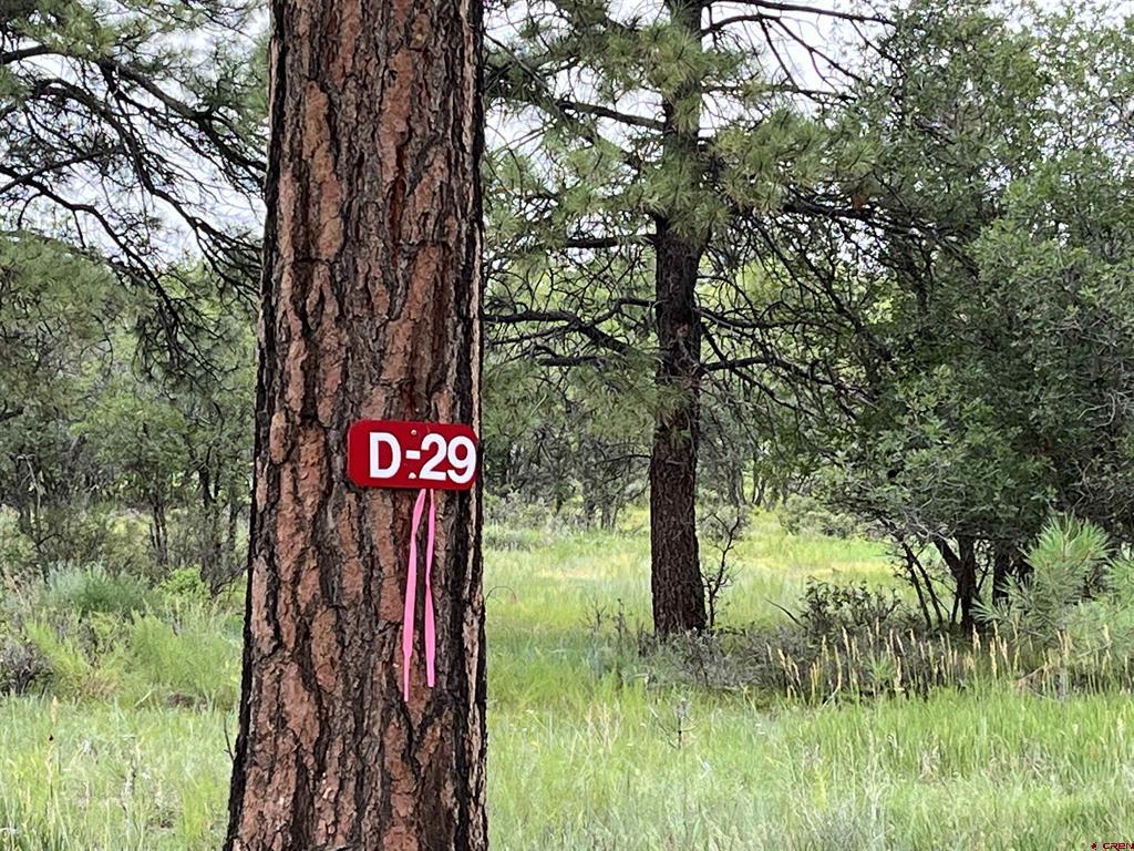 1172 Crowley Drive Chromo CO 81128