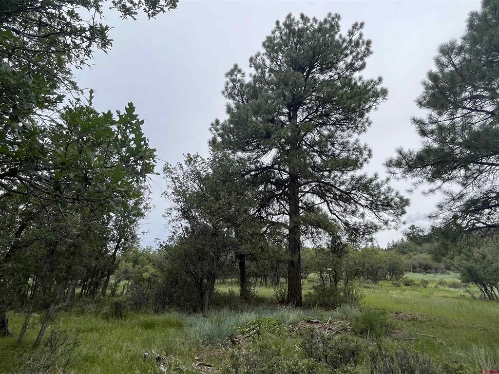 1172 Crowley Drive Chromo CO 81128