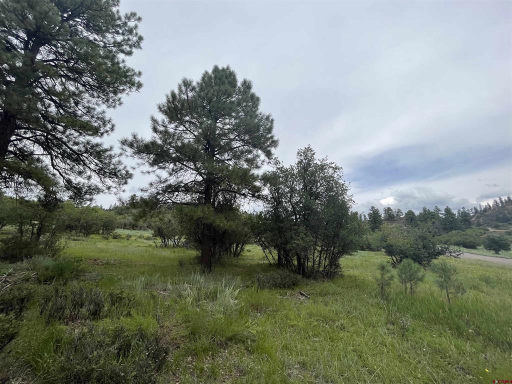 1172 Crowley Drive Chromo CO 81128