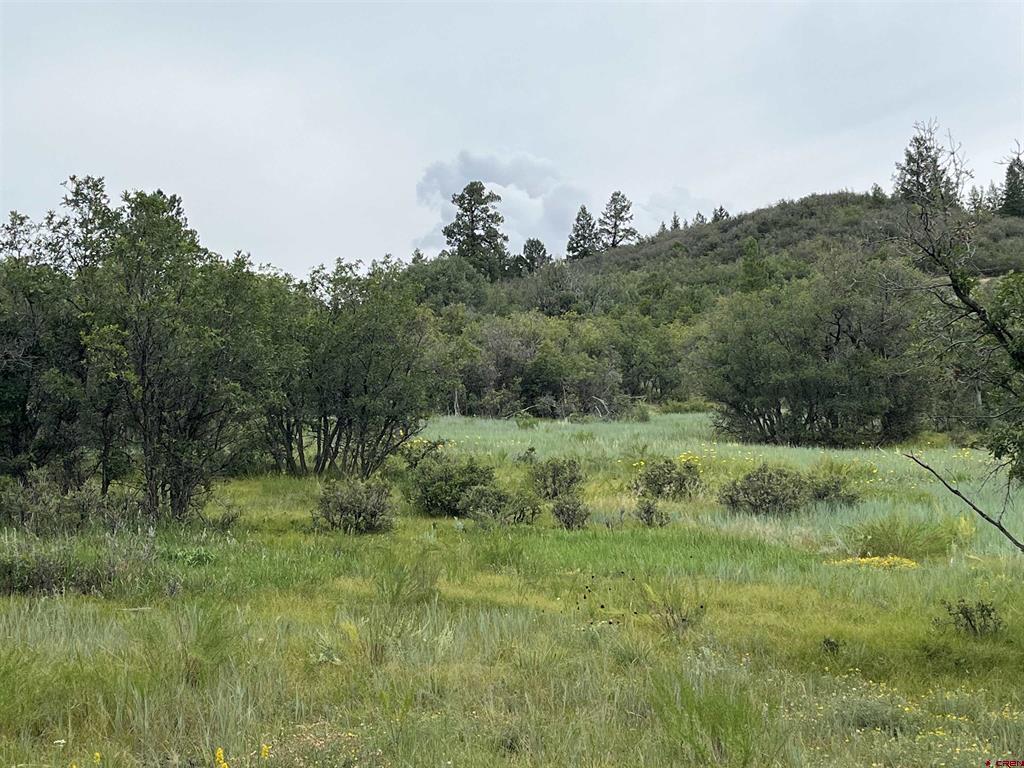1172 Crowley Drive Chromo CO 81128