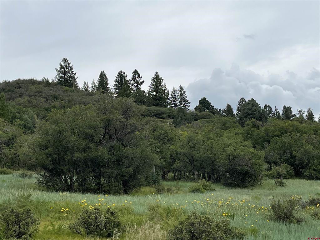 1172 Crowley Drive Chromo CO 81128