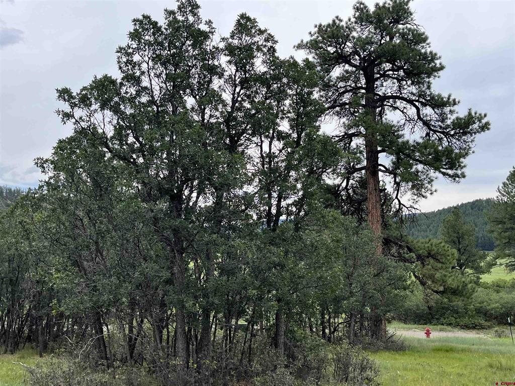 1172 Crowley Drive Chromo CO 81128