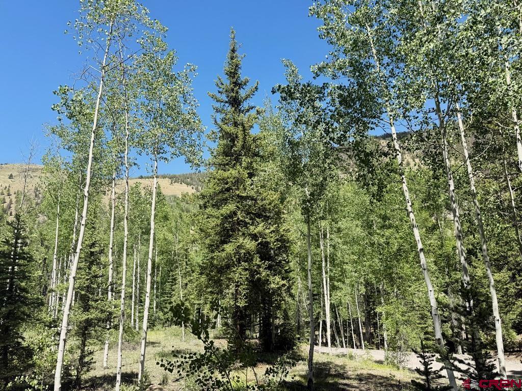 2621 Silver Coin Lane Lake City CO 81235