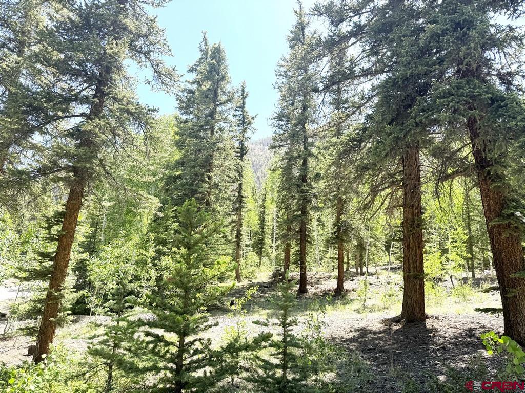 2621 Silver Coin Lane Lake City CO 81235