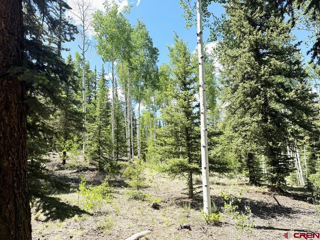 2621 Silver Coin Lane Lake City CO 81235