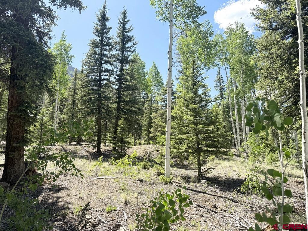 2621 Silver Coin Lane Lake City CO 81235