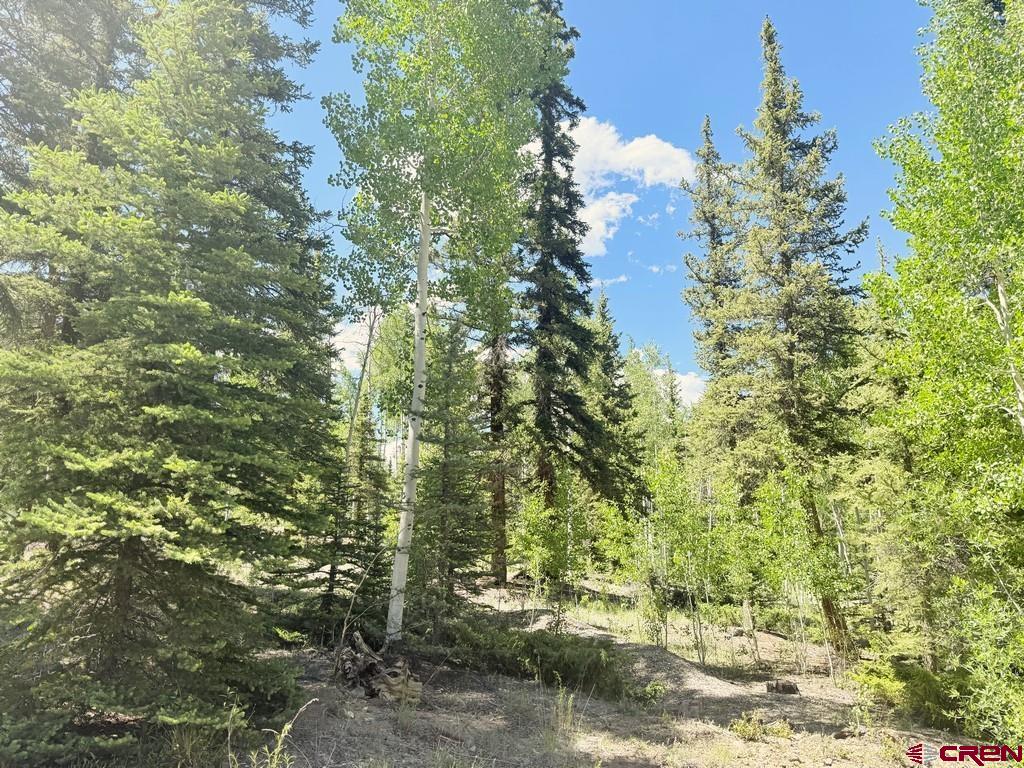 2621 Silver Coin Lane Lake City CO 81235
