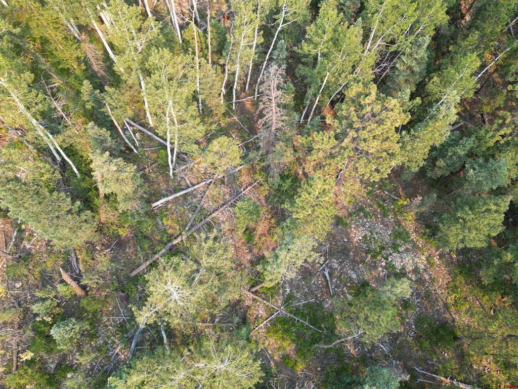 48 Ponderosa Way Durango CO 81301