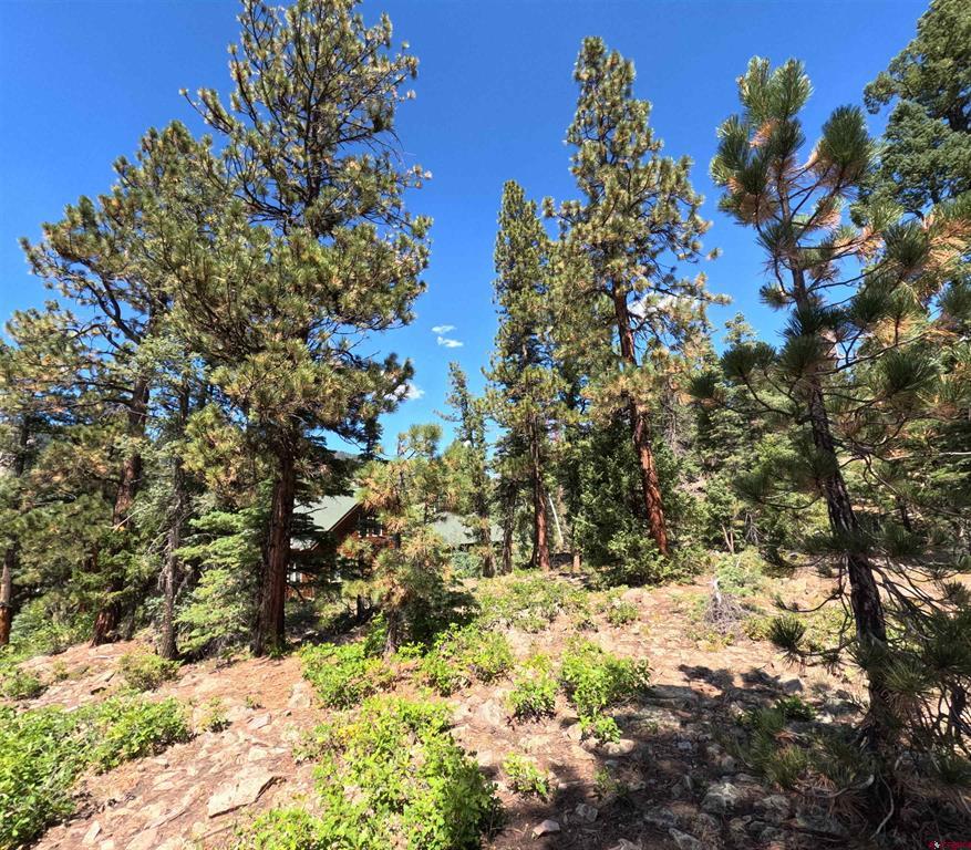 48 Ponderosa Way Durango CO 81301