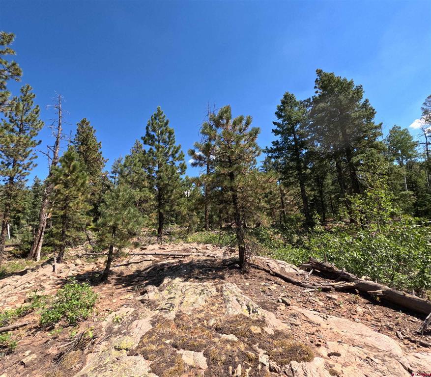 48 Ponderosa Way Durango CO 81301