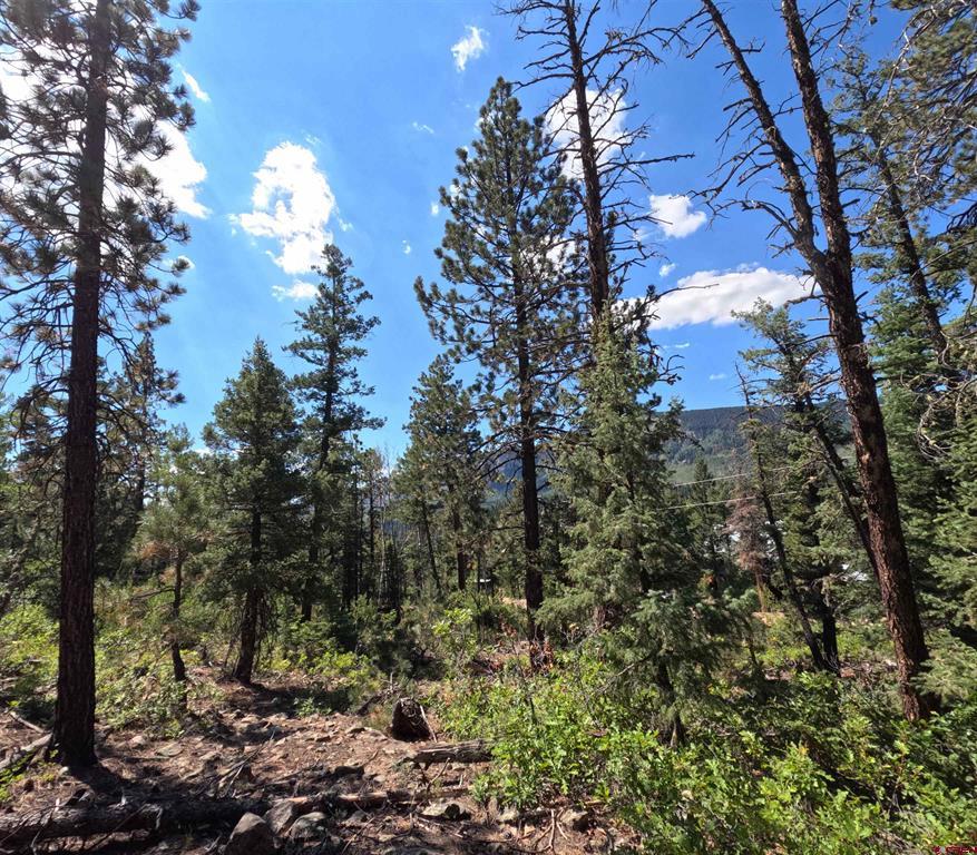 48 Ponderosa Way Durango CO 81301