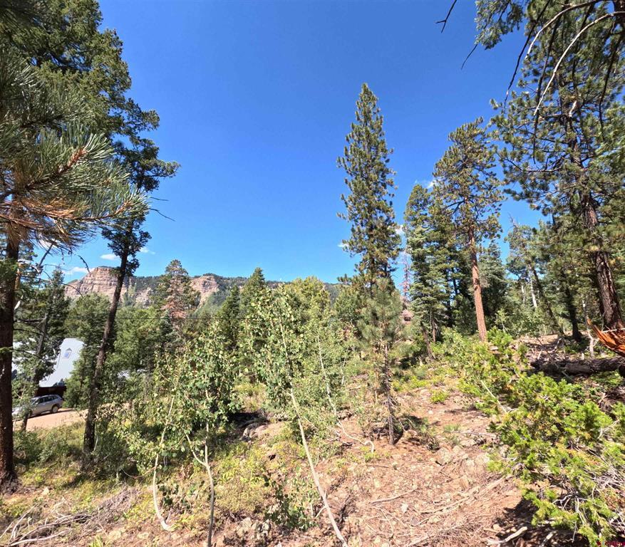 48 Ponderosa Way Durango CO 81301