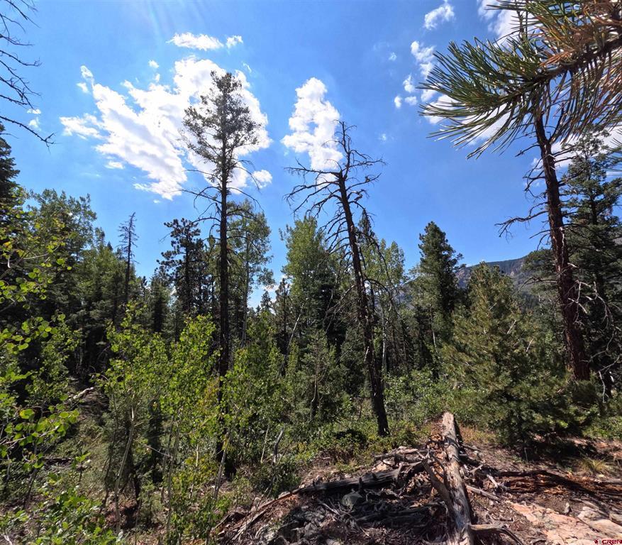 48 Ponderosa Way Durango CO 81301