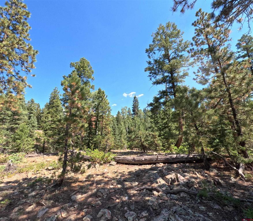 48 Ponderosa Way Durango CO 81301