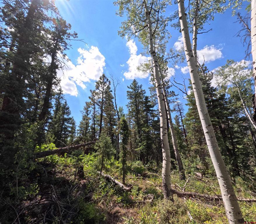 48 Ponderosa Way Durango CO 81301