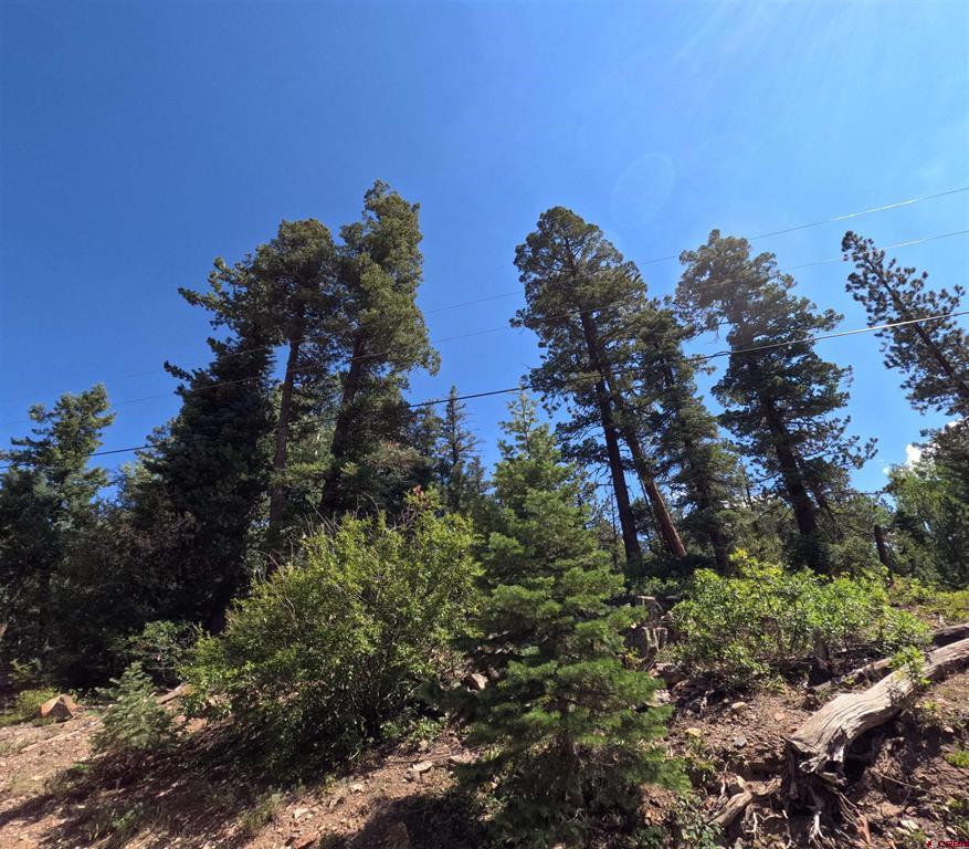 48 Ponderosa Way Durango CO 81301