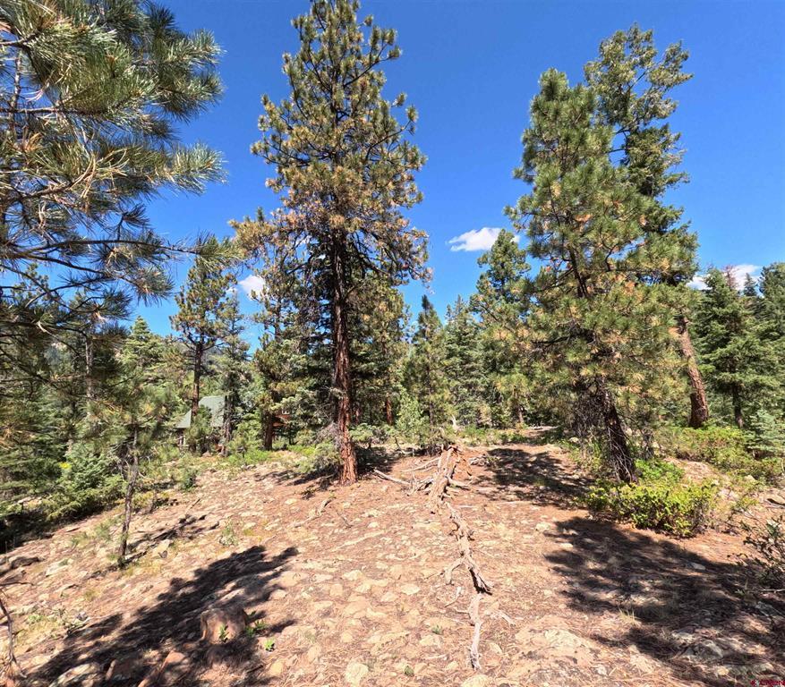 48 Ponderosa Way Durango CO 81301