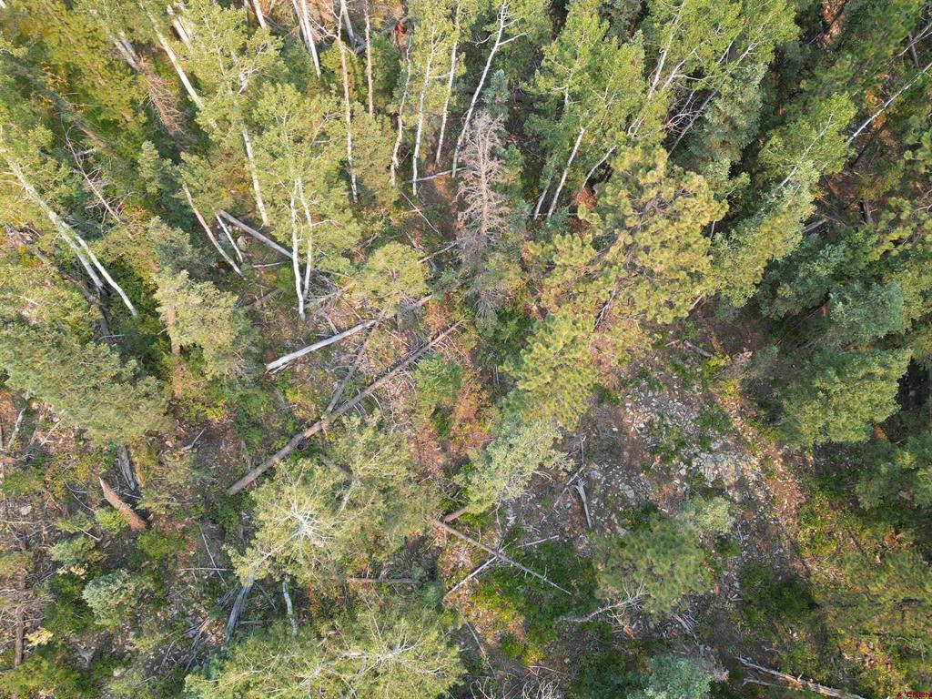 48 Ponderosa Way Durango CO 81301